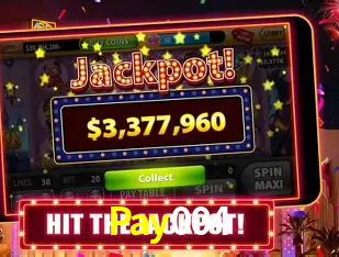 Pay004 Bet
